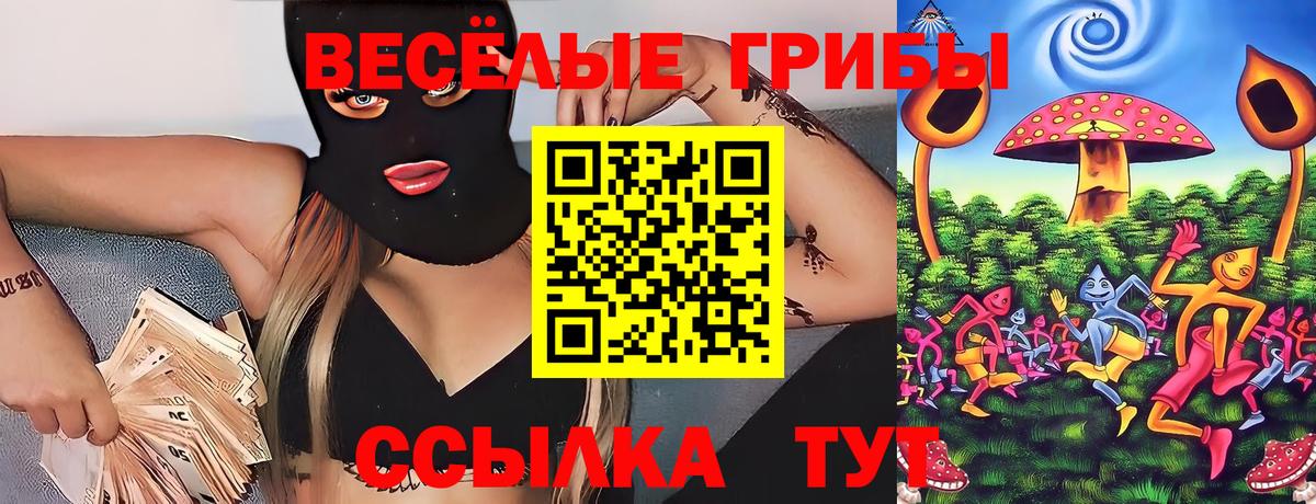 Конаково  Псилоцибиновые грибы Psilocybe  Вход с VPN 