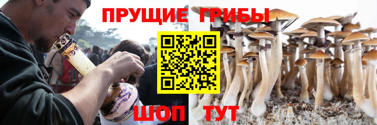Псилоцибиновые грибы мицелий Конаково